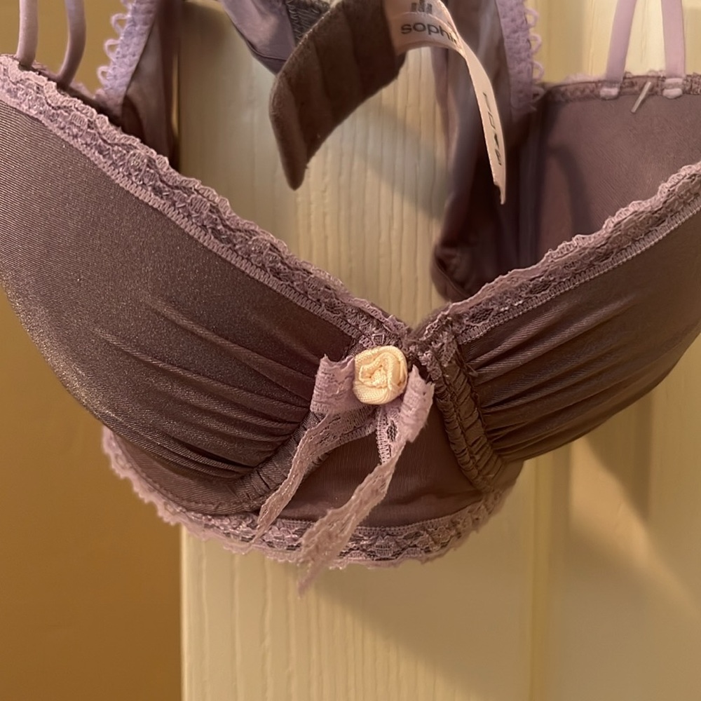 Beautiful bra - Picture 2 of 4